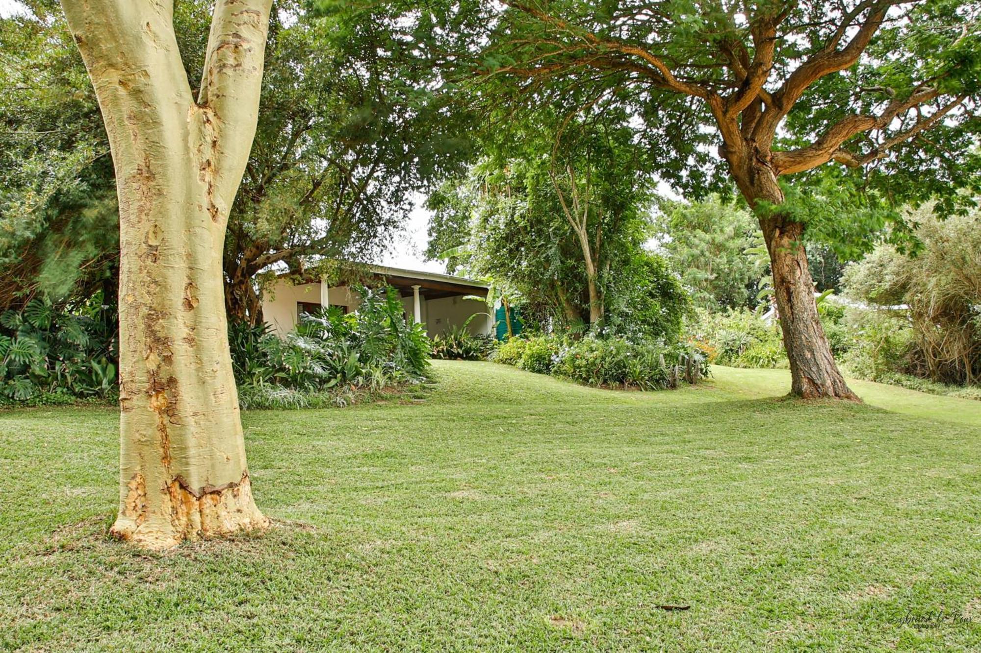 Ndlovu Addo River Lodge Kirkwood المظهر الخارجي الصورة